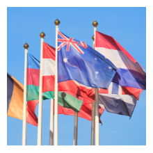 global partner